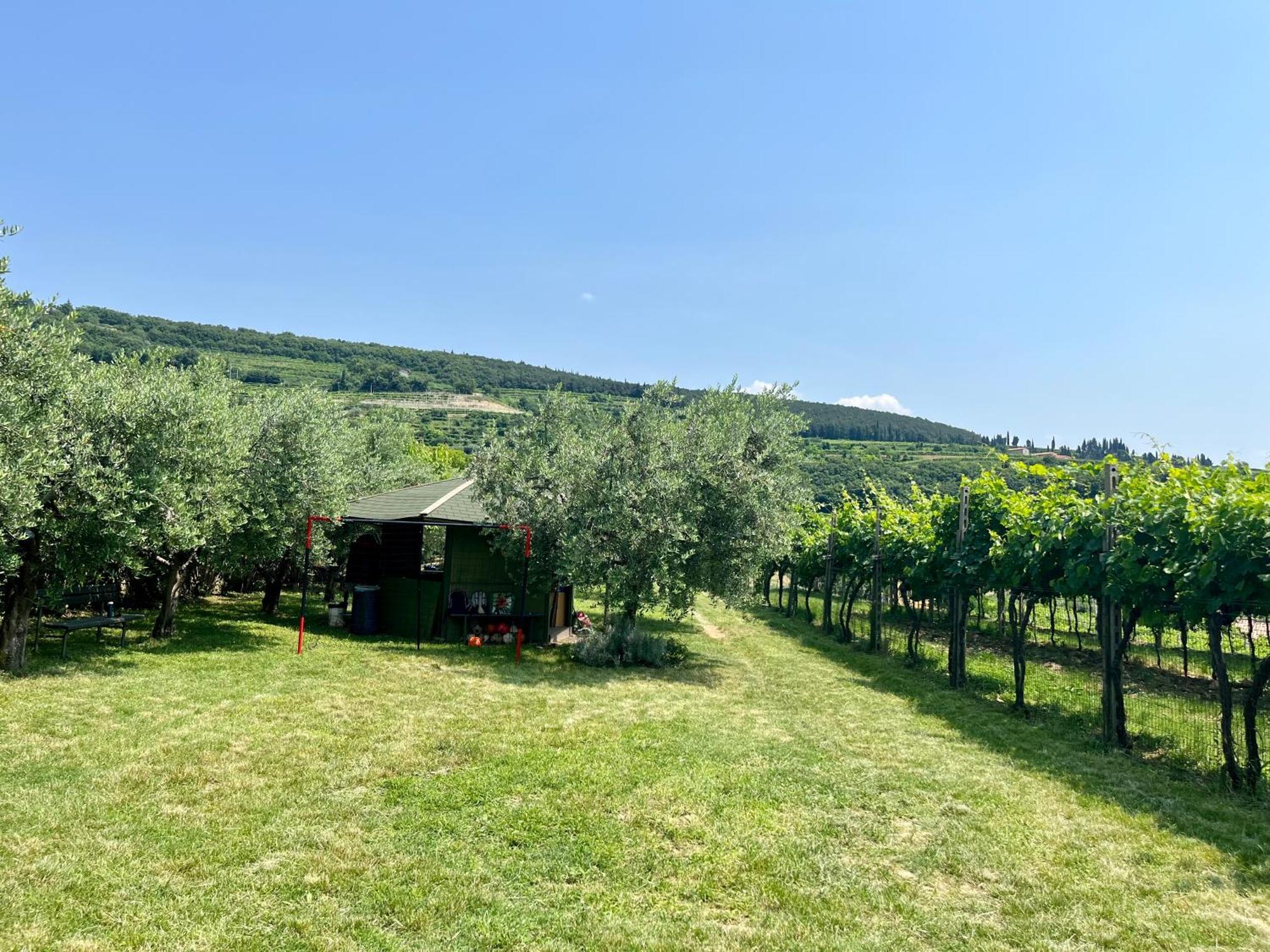 Corte Lavarini The Magic At Sight Apartment
